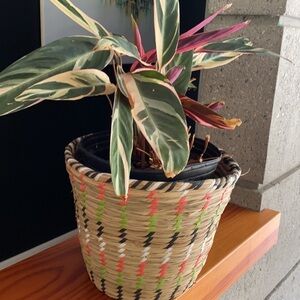 Seagrass basket / planter with multicolor detail